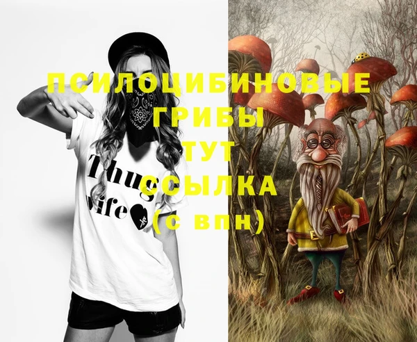 амф Алексеевка