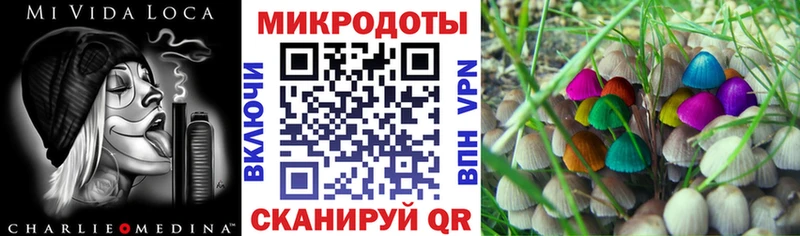 купить наркотики цена  Кемерово  Галлюциногенные грибы ЛСД 