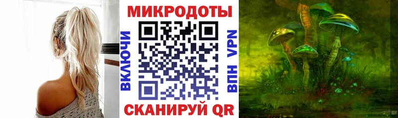 Галлюциногенные грибы Psilocybe Кемерово